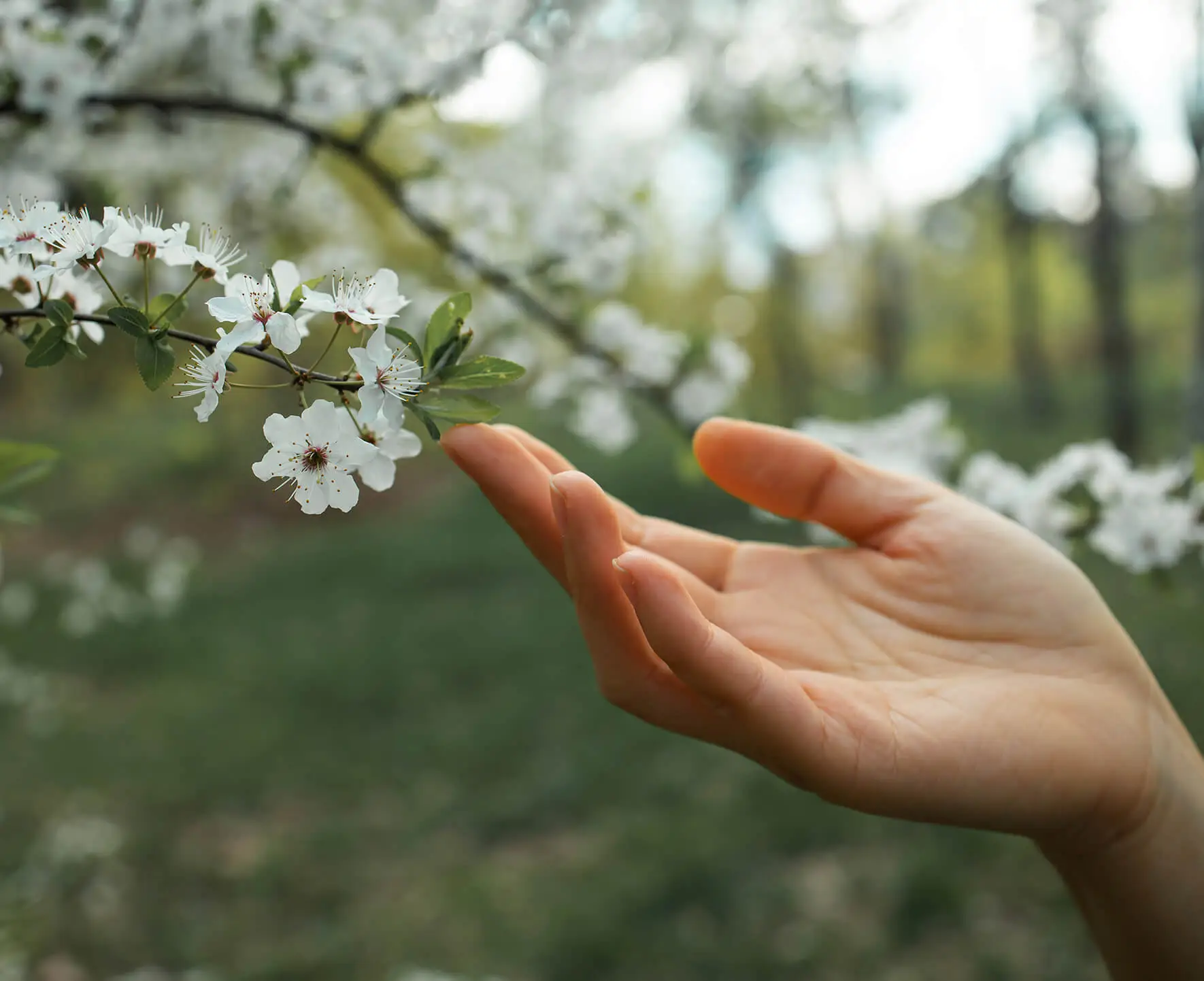 Почему появляются мелкие прыщики на руках и как их убрать
