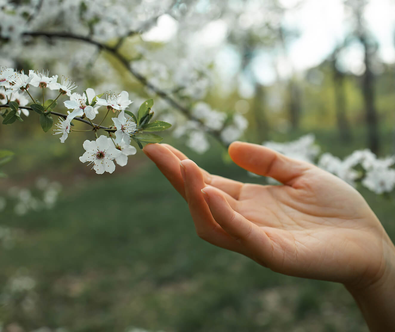 Почему появляются мелкие прыщики на руках и как их убрать
